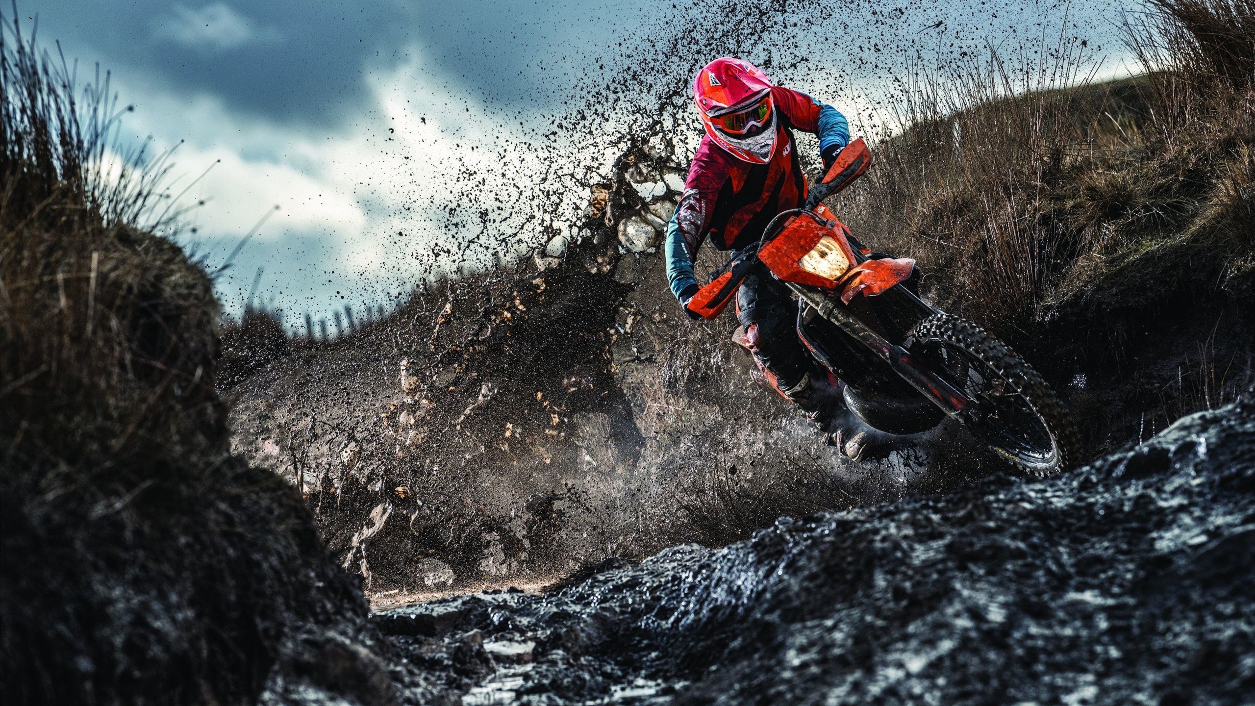 伊朗年轻球员表现抢眼，伊朗足球队目前厉害人物